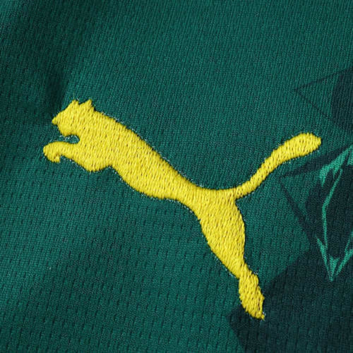 Camisola Senegal Principal 26/27 - Mundial 2026
