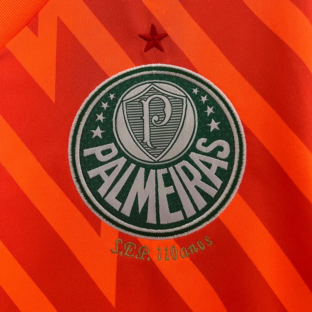 Camisola Palmeiras Guarda-Redes 24/25