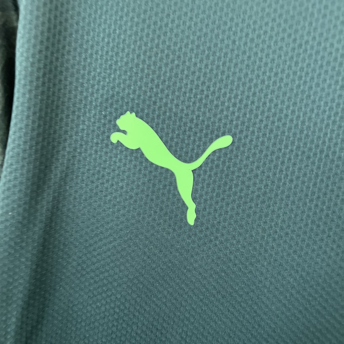 Camisola Palmeiras Terceira 20/21 Retro