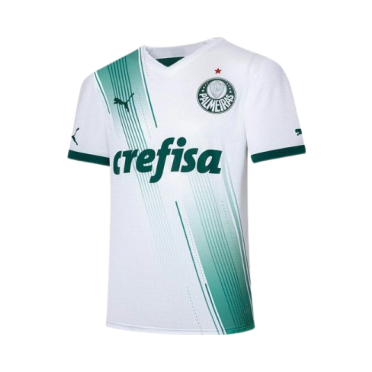 Camisola Palmeiras Secundária 23/24