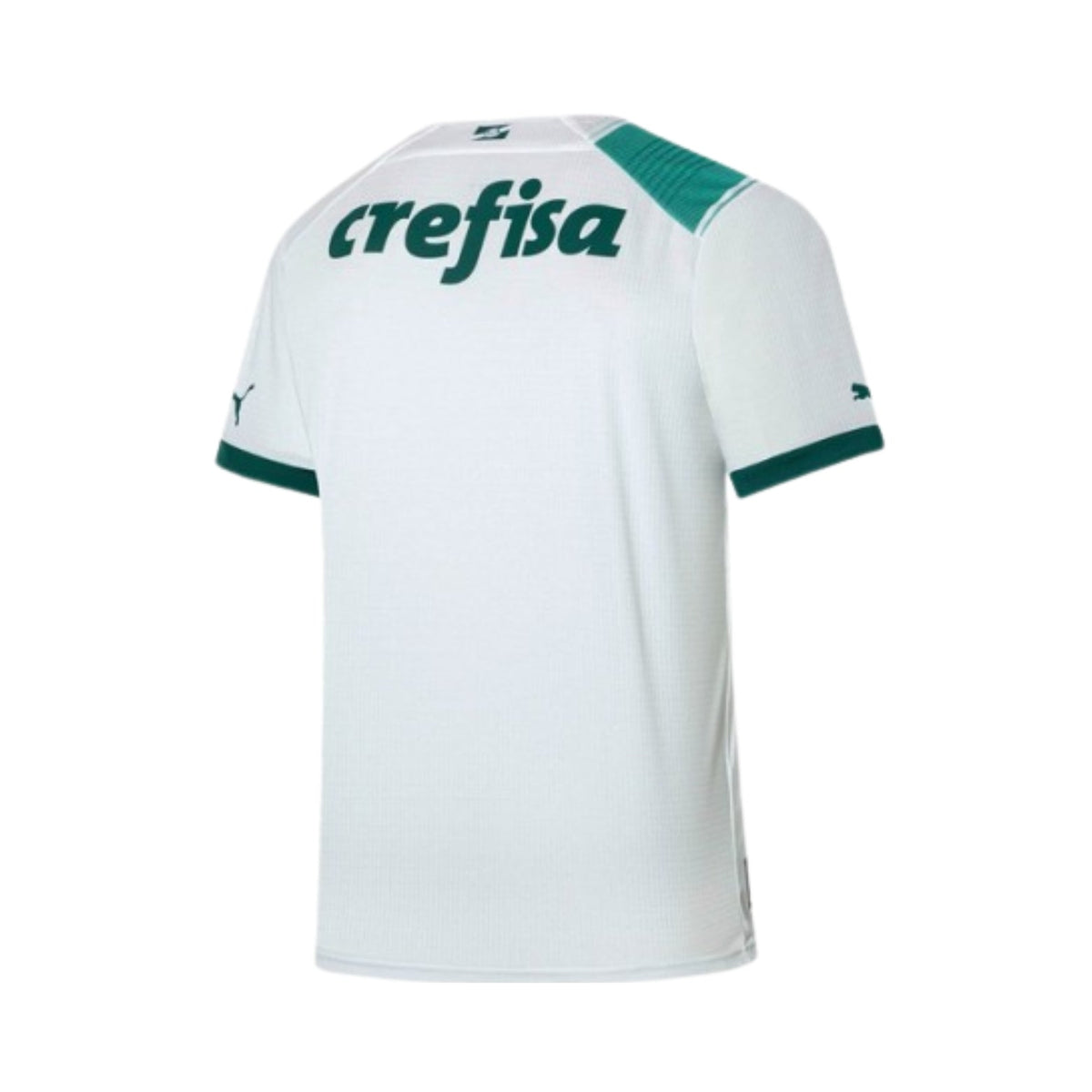 Camisola Palmeiras Secundária 23/24