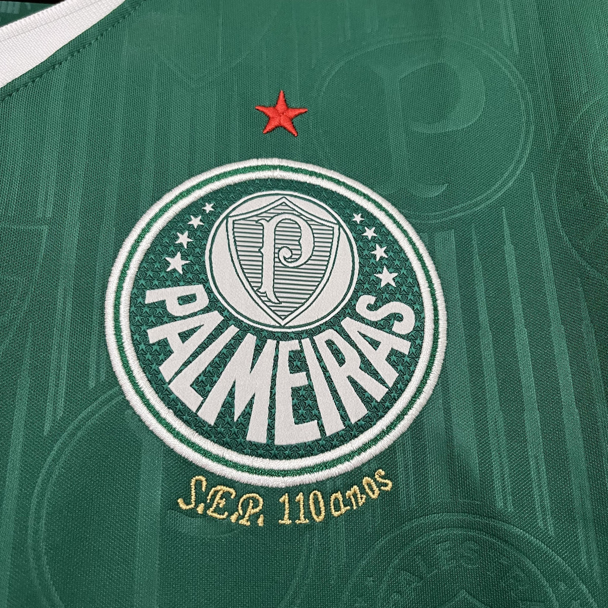 Camisola Palmeiras Principal 24/25