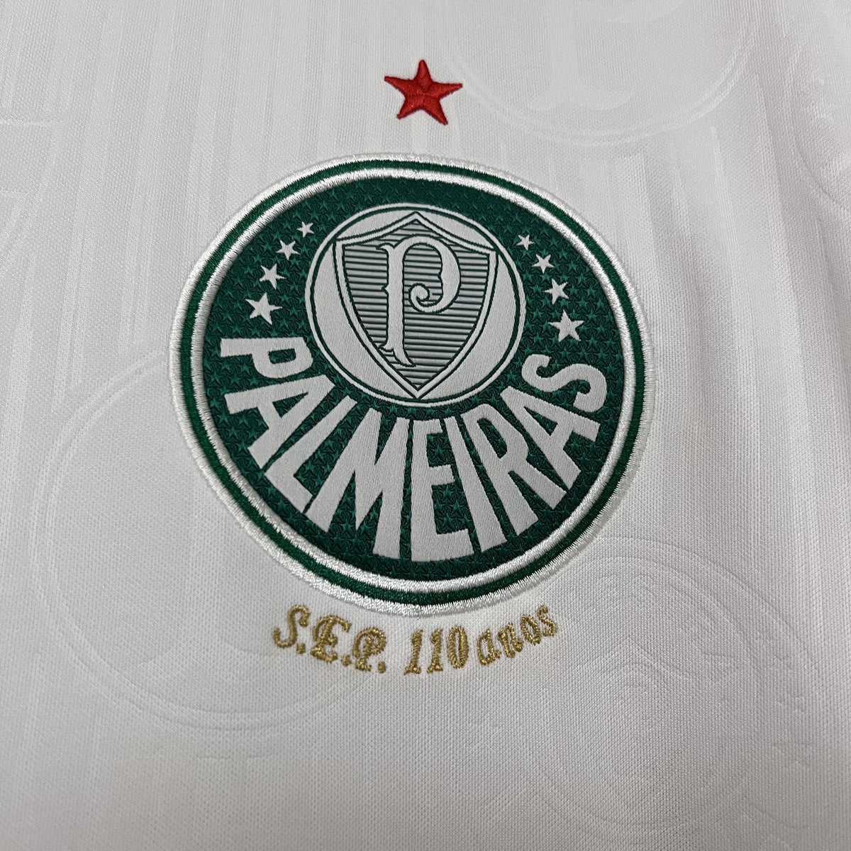 Camisola Palmeiras Alternativa 24/25