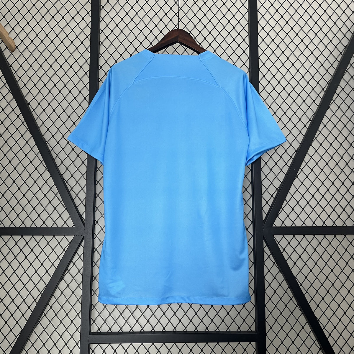 Camisola Holanda Edição Especial 24/25