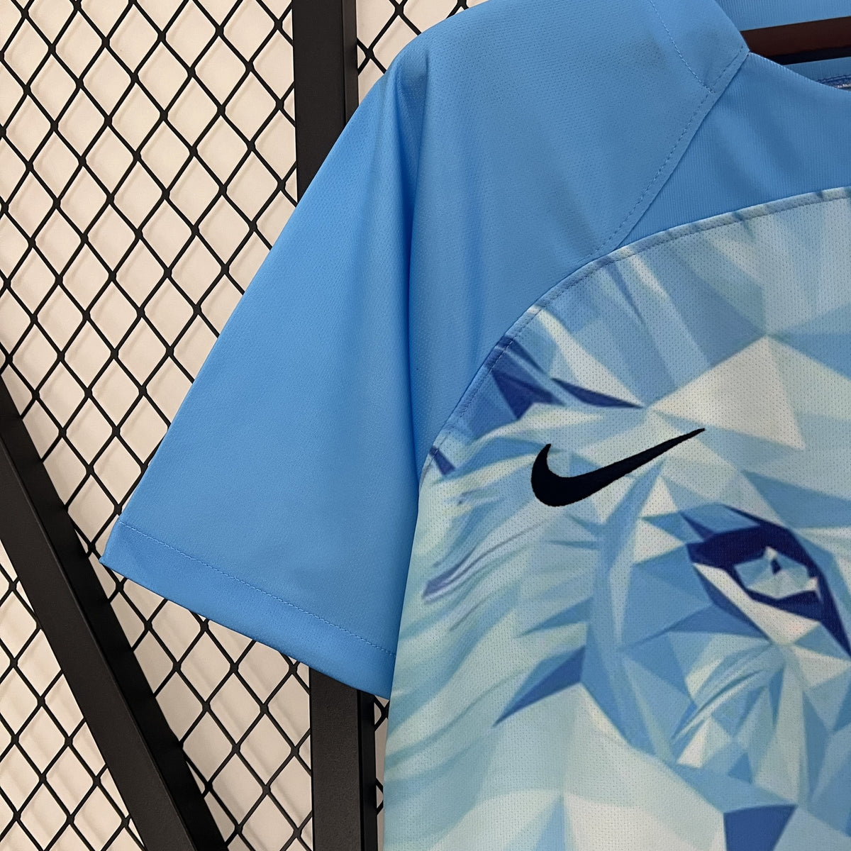 Camisola Holanda Edição Especial 24/25