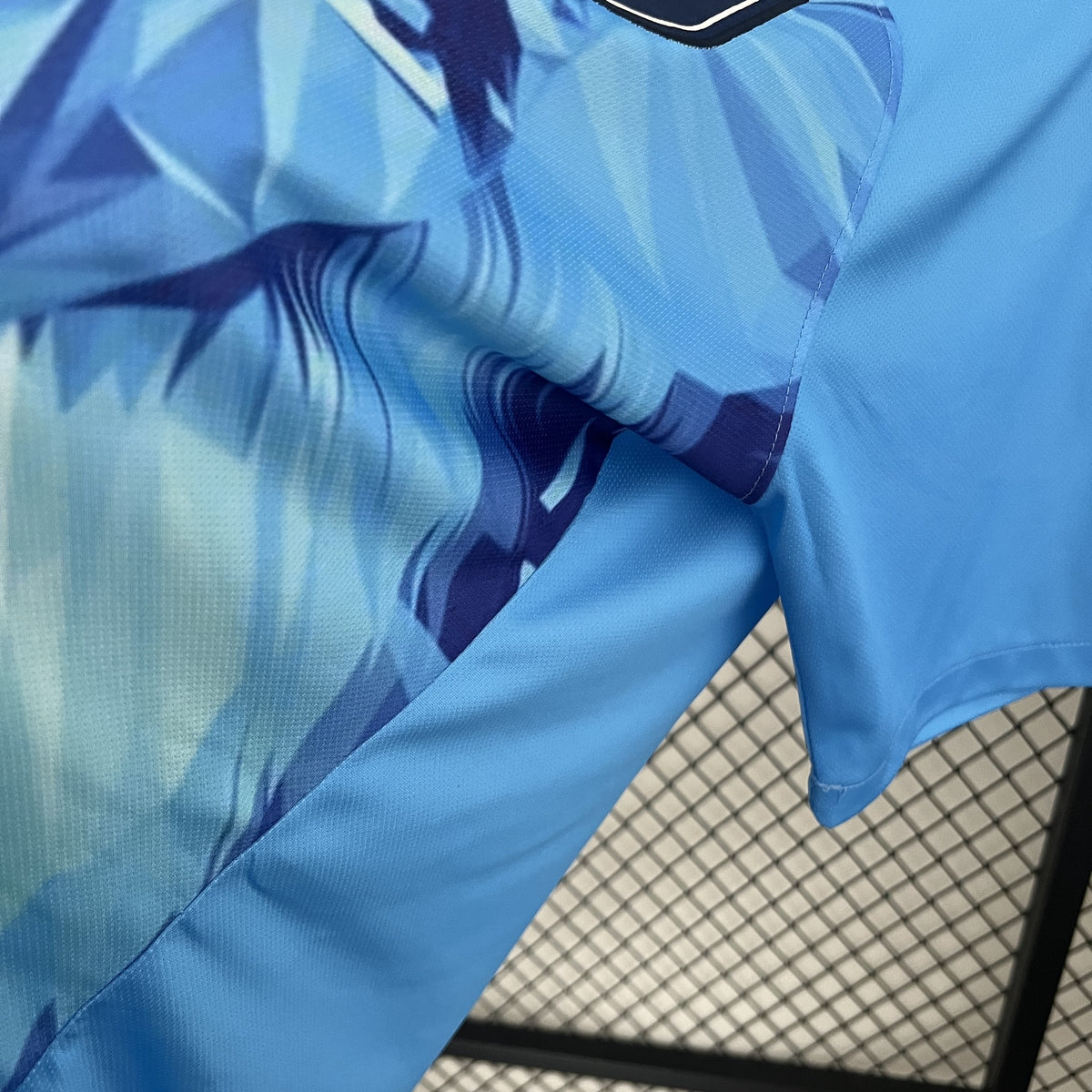 Camisola Holanda Edição Especial 24/25