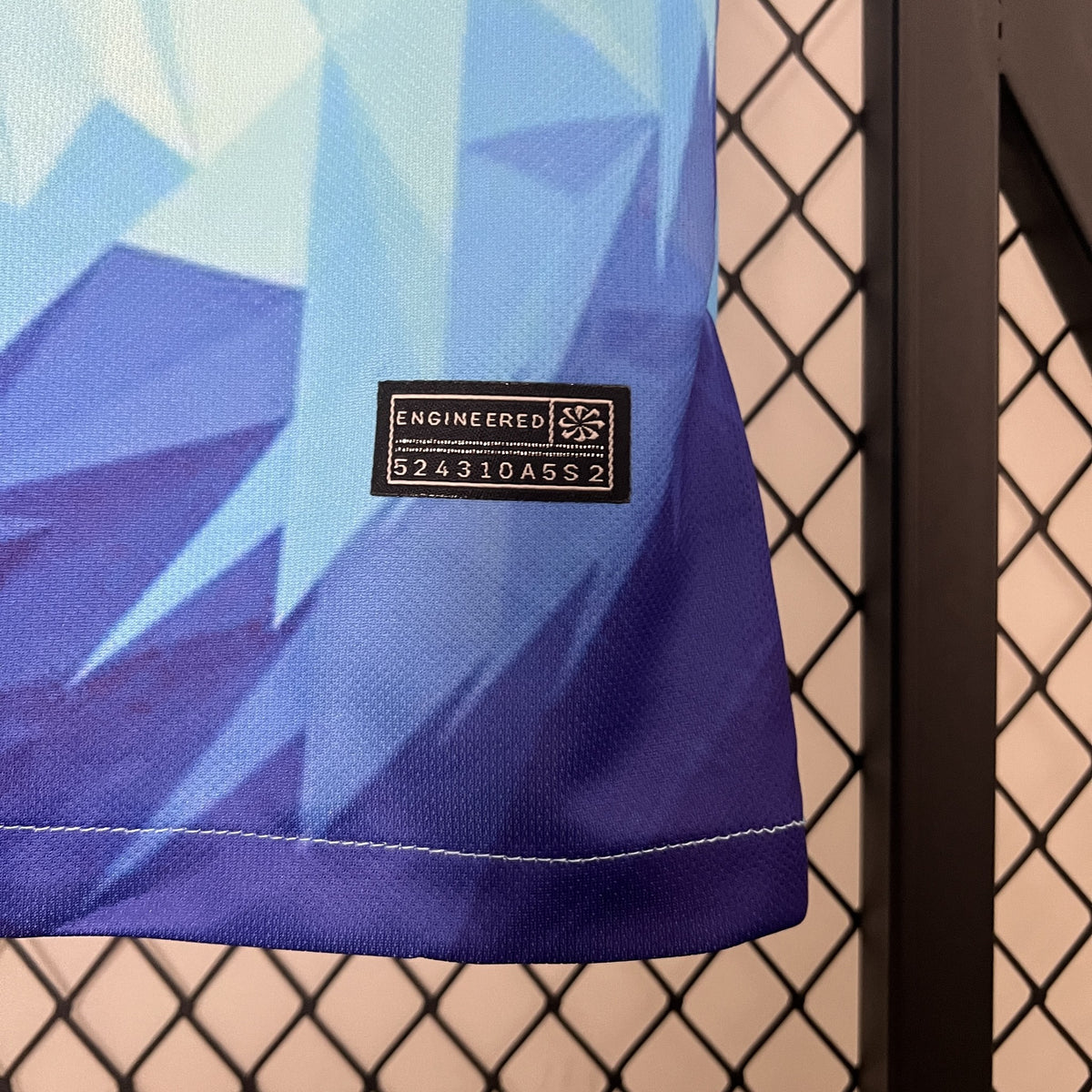 Camisola Holanda Edição Especial 24/25