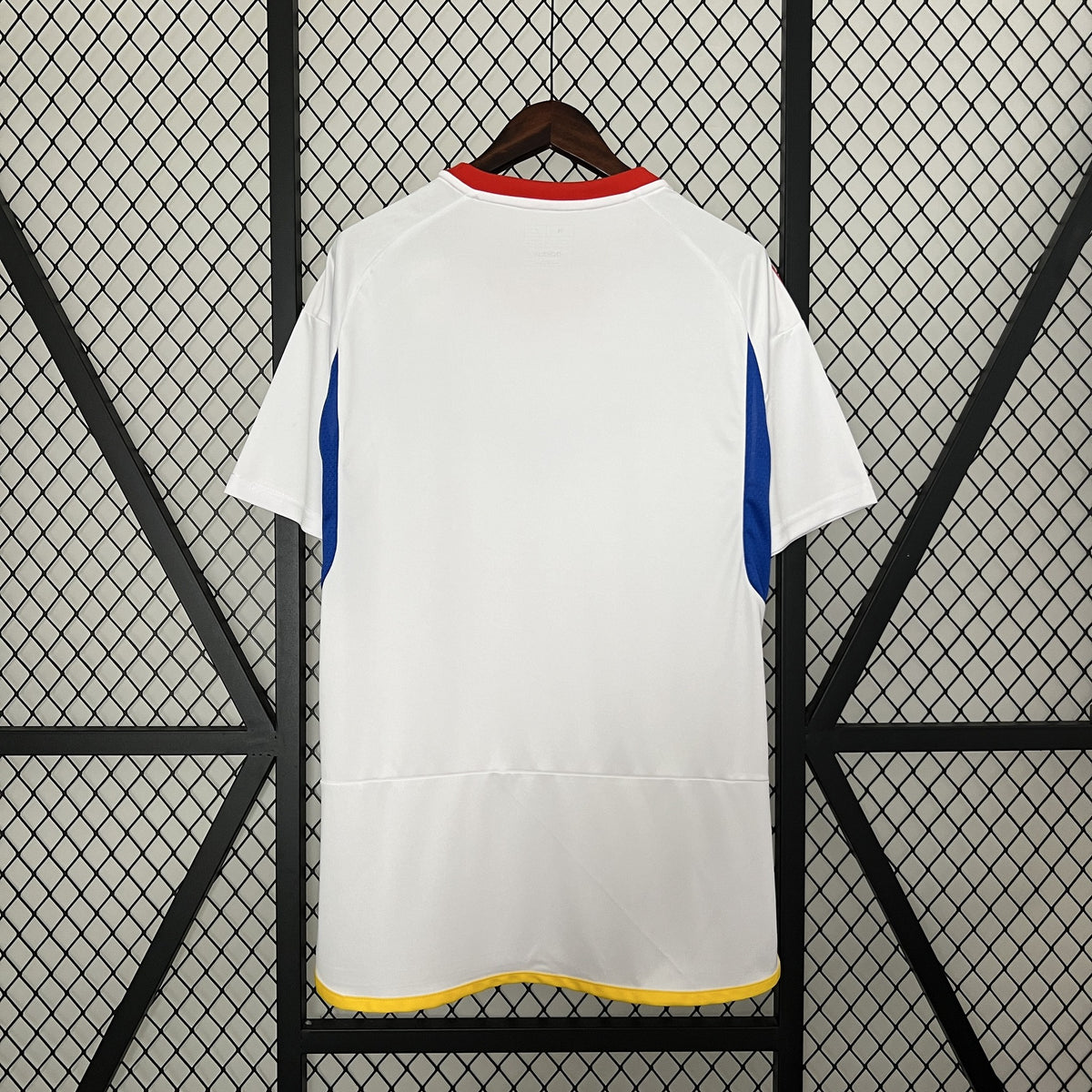 Camisola Venezuela Alternativa 24/25