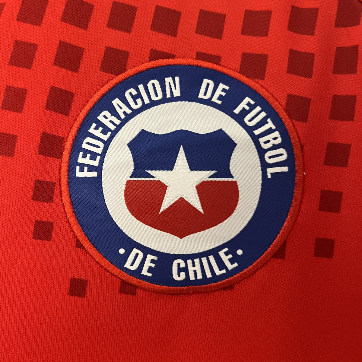 Camisola Chile Principal 24/25