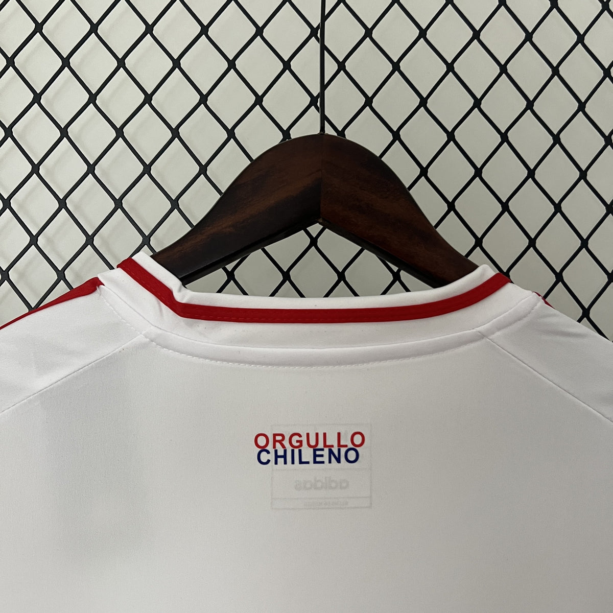 Camisola Chile Alternativa 24/25