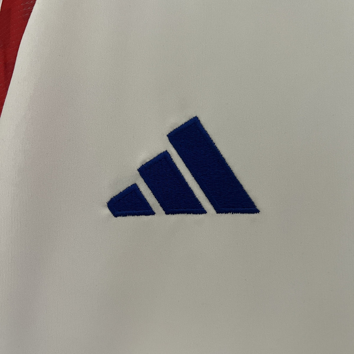 Camisola Chile Alternativa 24/25