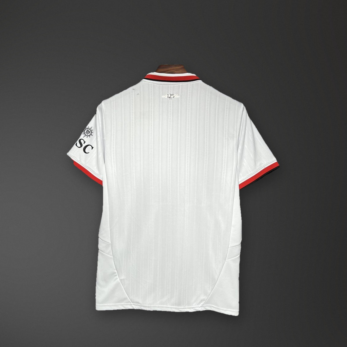 Camisola AC Milan Alternativa 24/25