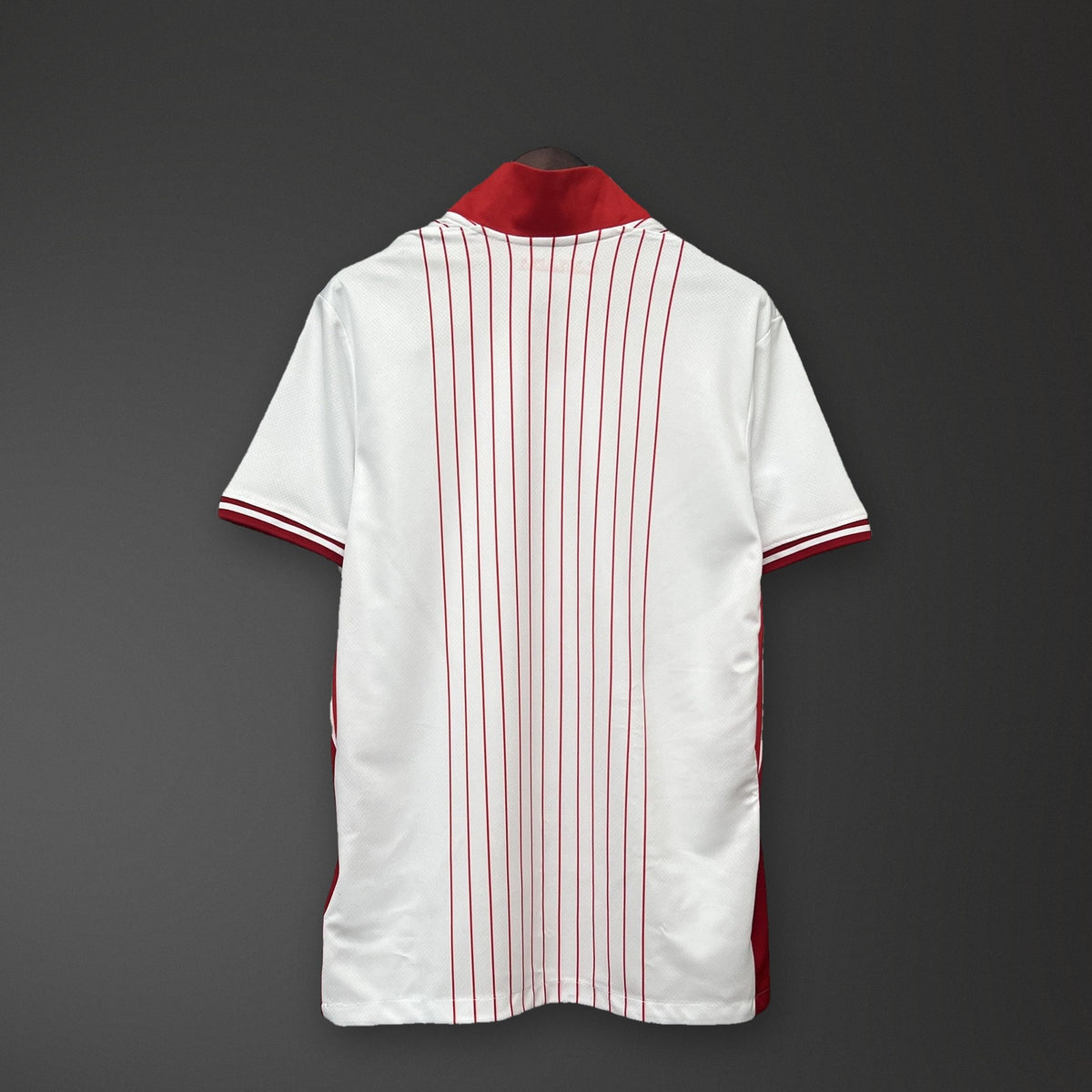 Camisola Canadá Alternativa 24/25