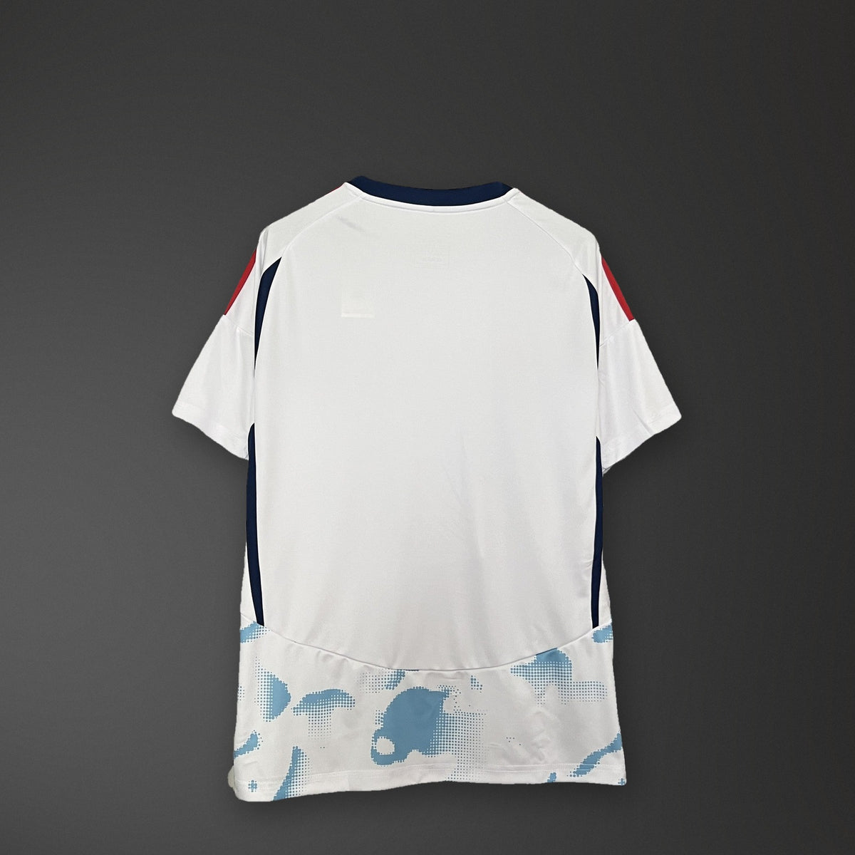 Camisola Costa Rica Alternativa 24/25