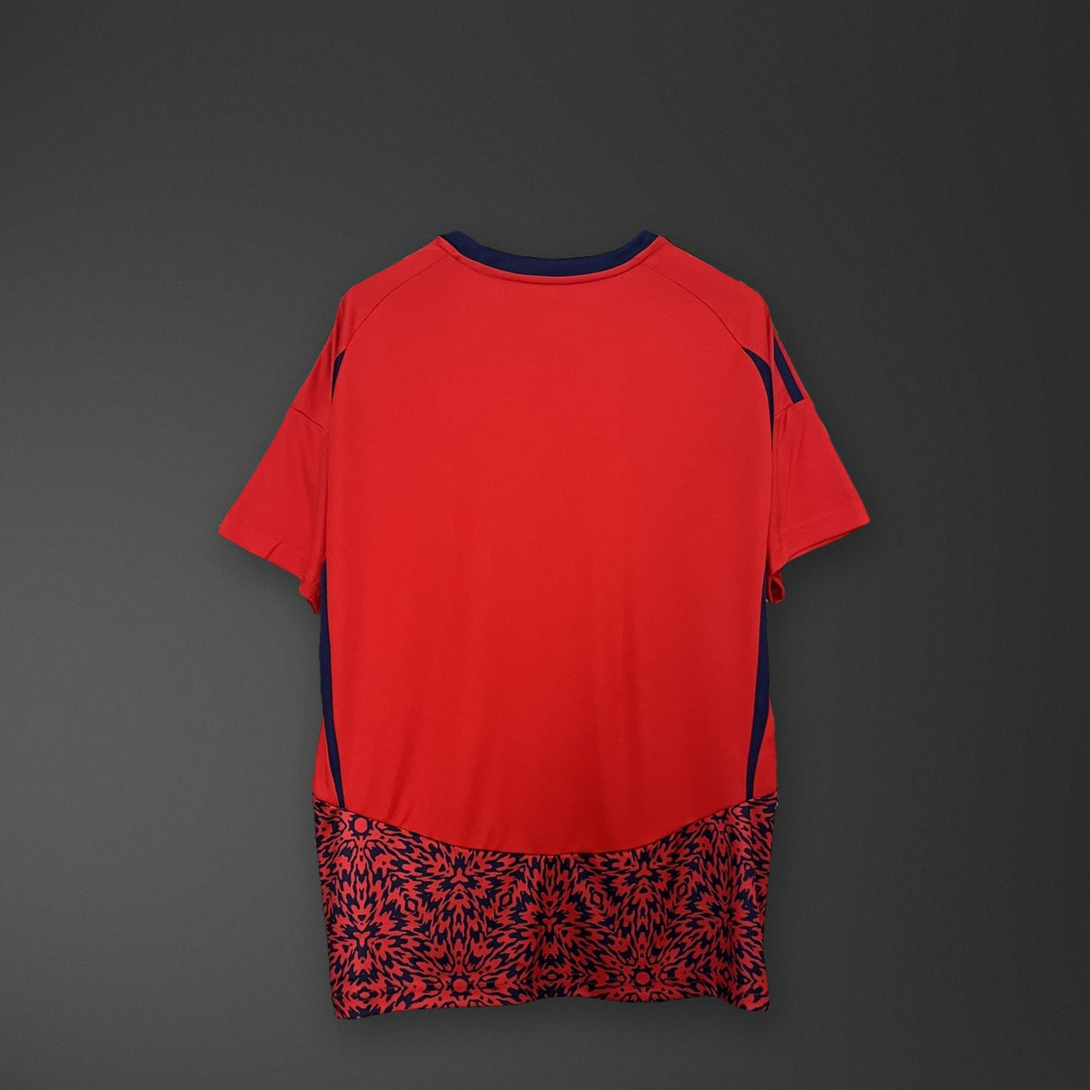 Camisola Costa Rica Principal 24/25