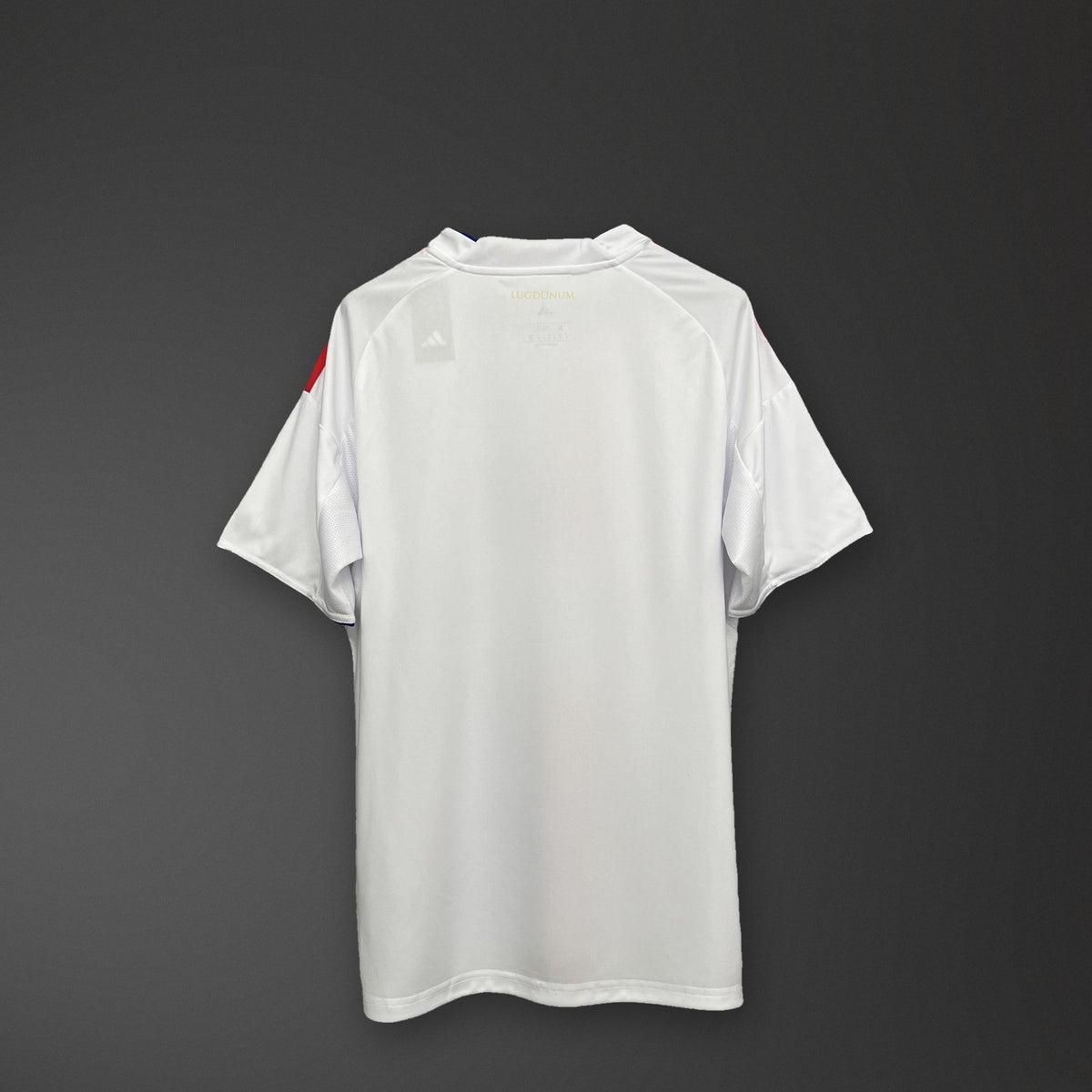 Camisola Olympique Lyonnais Principal 25/26