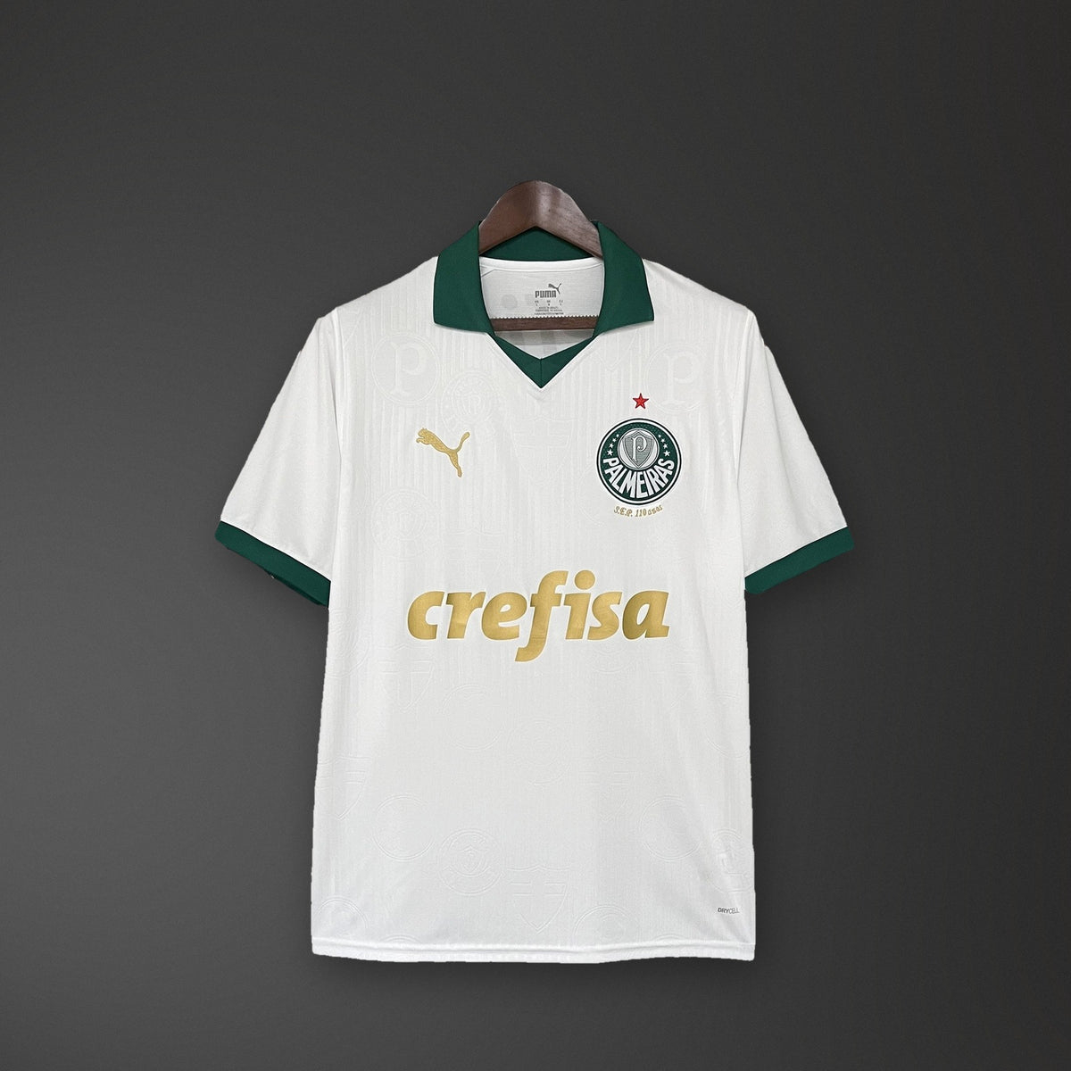 Camisola Palmeiras Alternativa 24/25