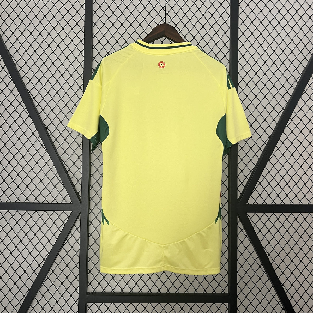 Camisola País de Gales Alternativa 24/25