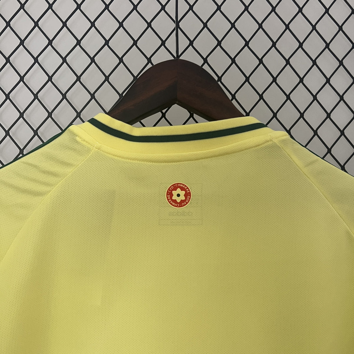 Camisola País de Gales Alternativa 24/25