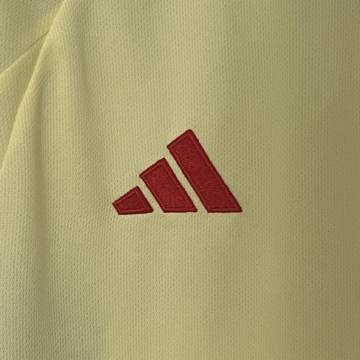 Camisola País de Gales Alternativa 24/25