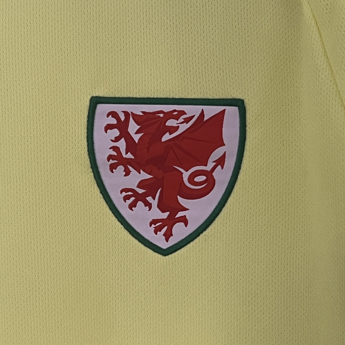 Camisola País de Gales Alternativa 24/25