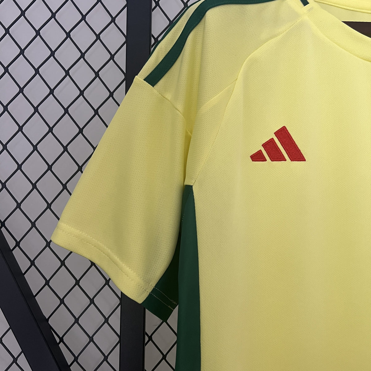 Camisola País de Gales Alternativa 24/25