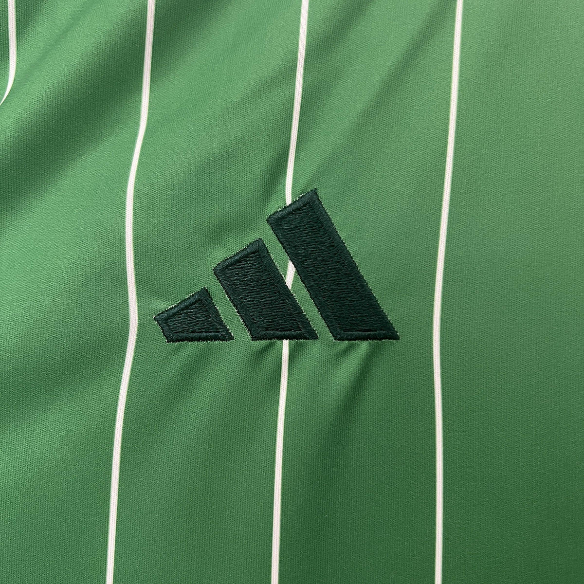 Camisola Celtic Edição Especial 24/25