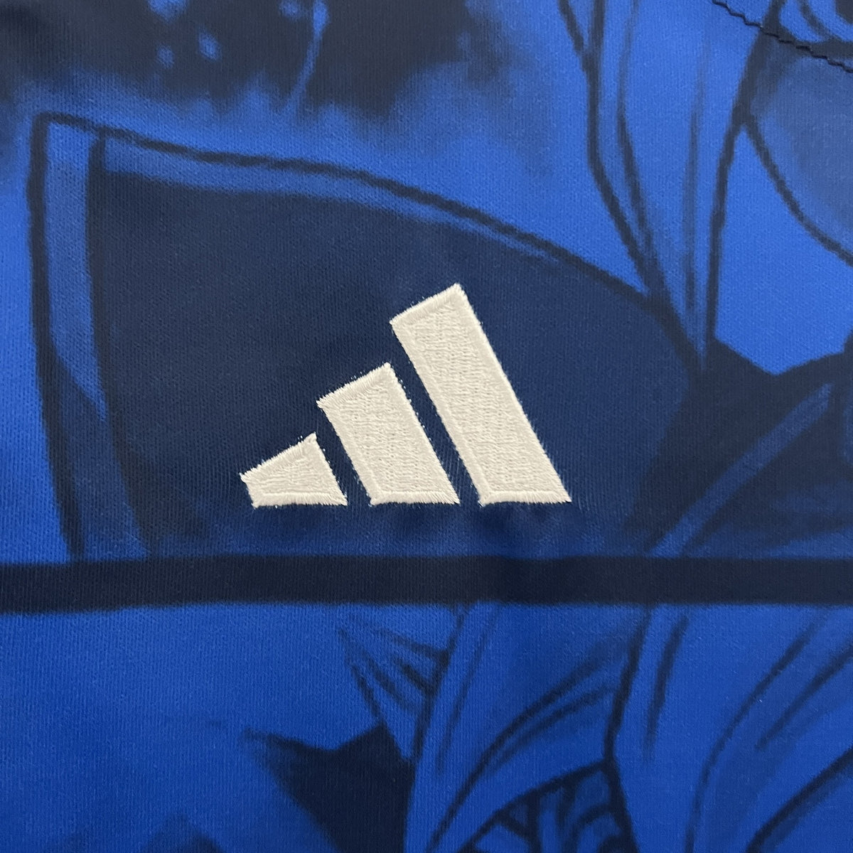 Camisola Japão Edição Especial 24/25 (Modelo 29)