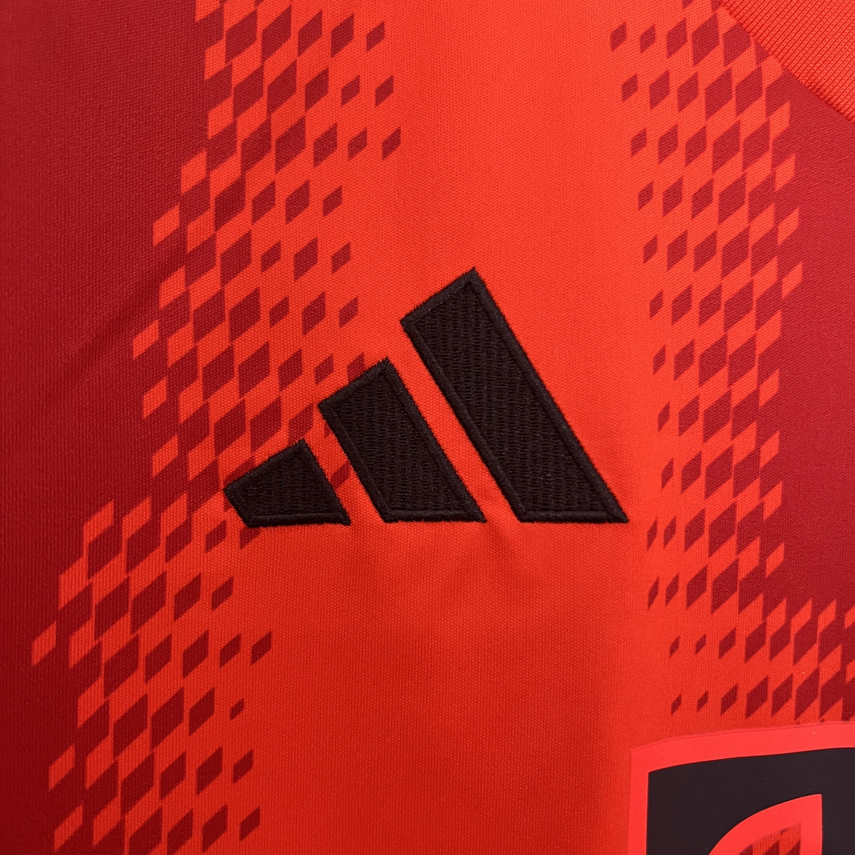 Camisola Bayern Munique Principal 24/25