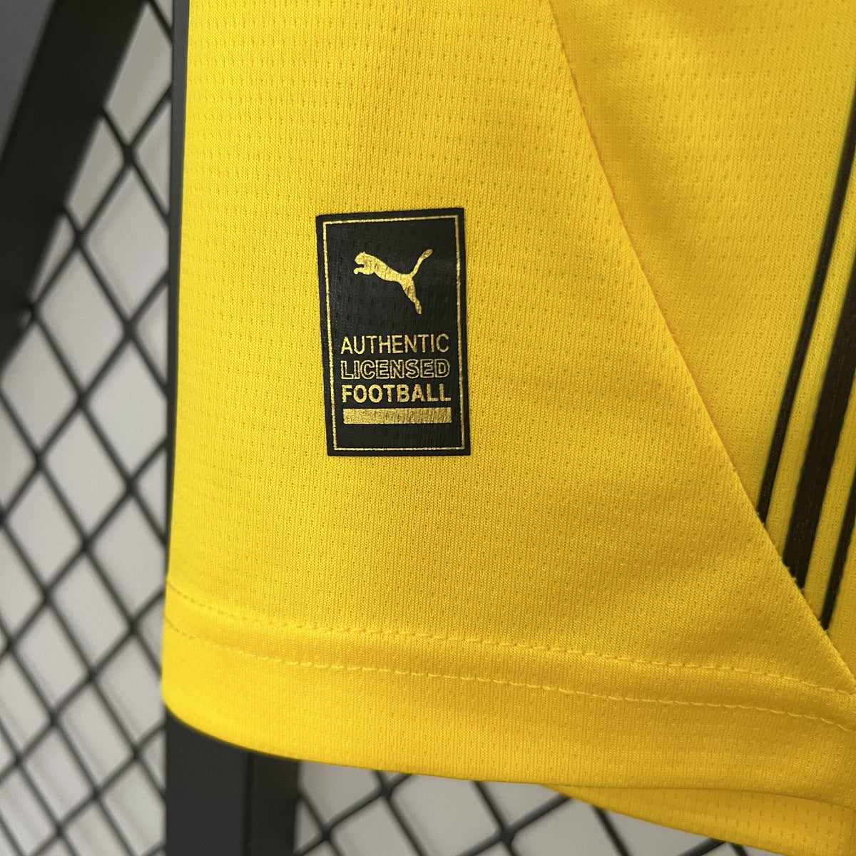 Camisola Borussia Dortmund Principal 24/25