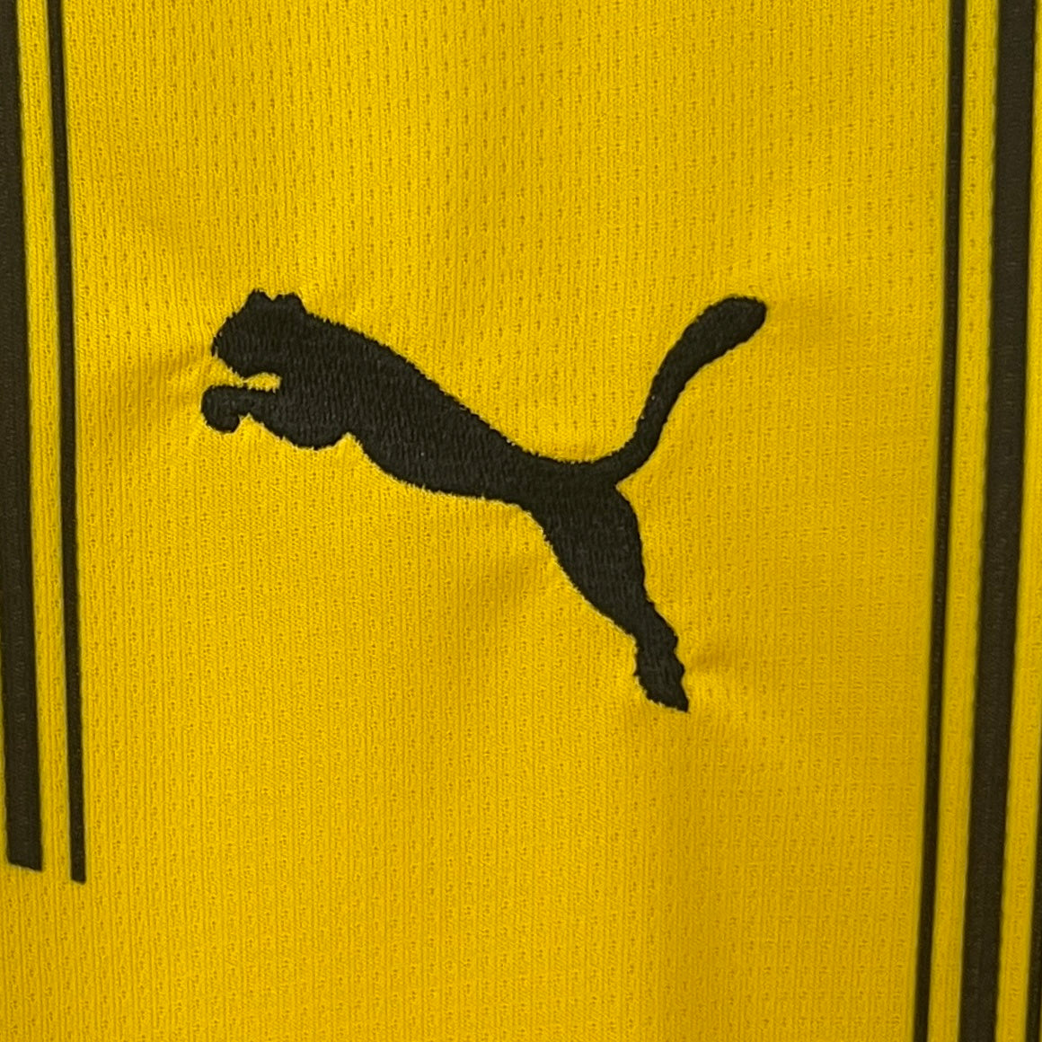 Camisola Borussia Dortmund Principal 24/25