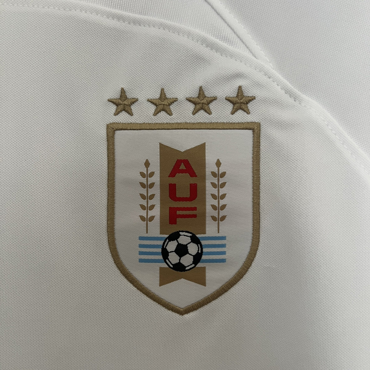 Camisola Uruguai Edição Especial Branca 24/25