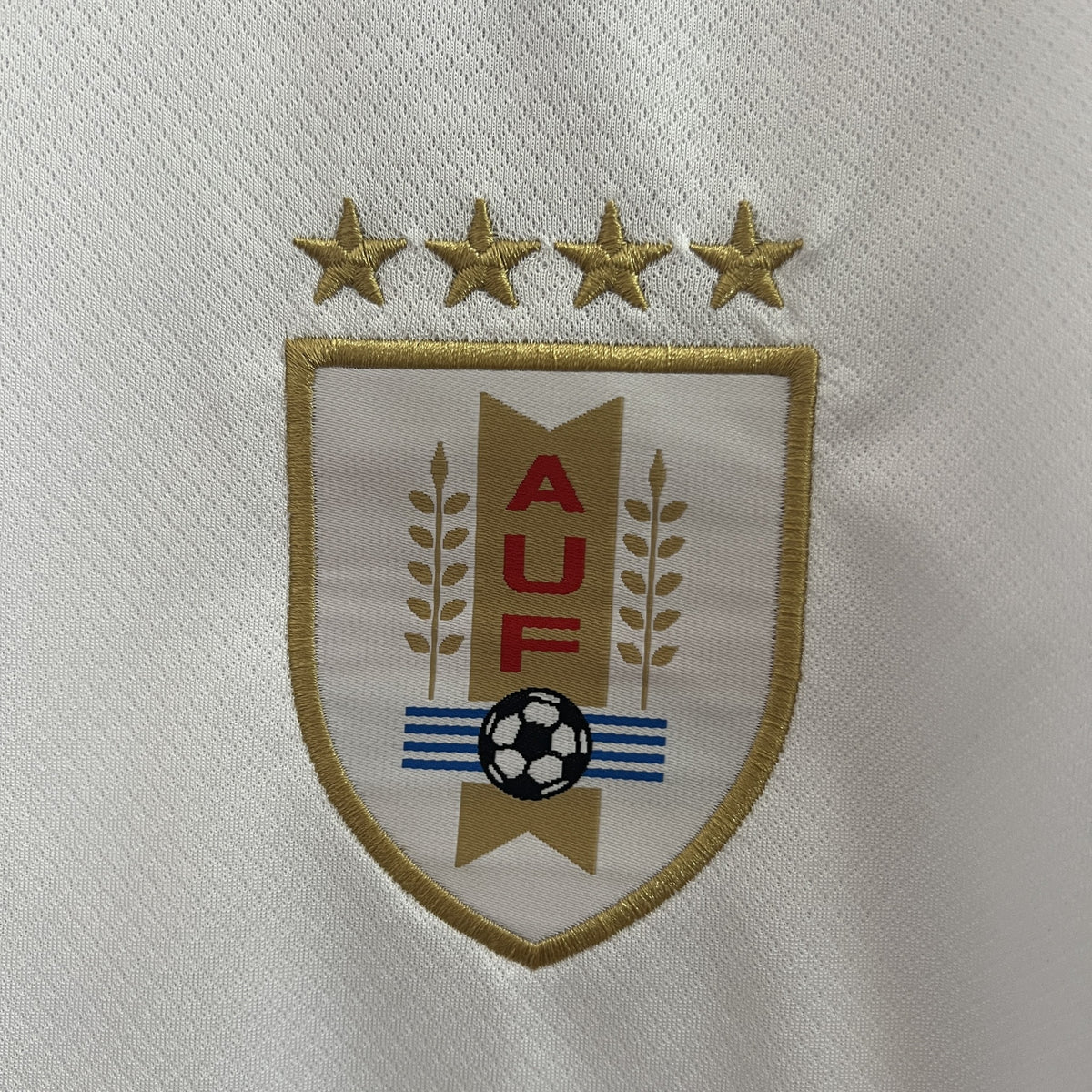 Camisola Uruguai Alternativa 24/25