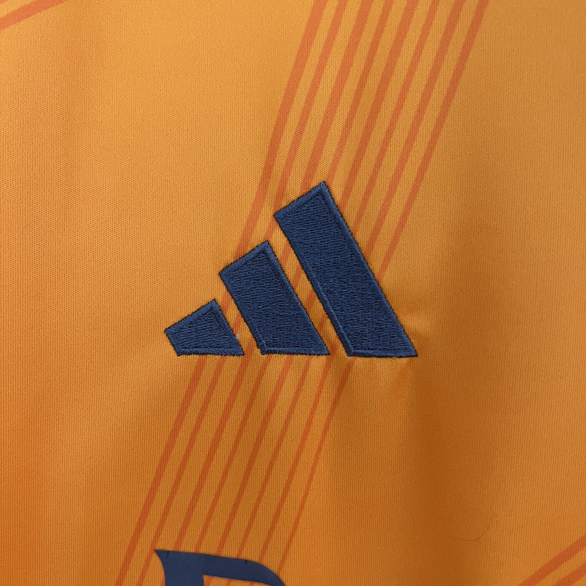 Camisola Real Madrid Alternativa 24/25