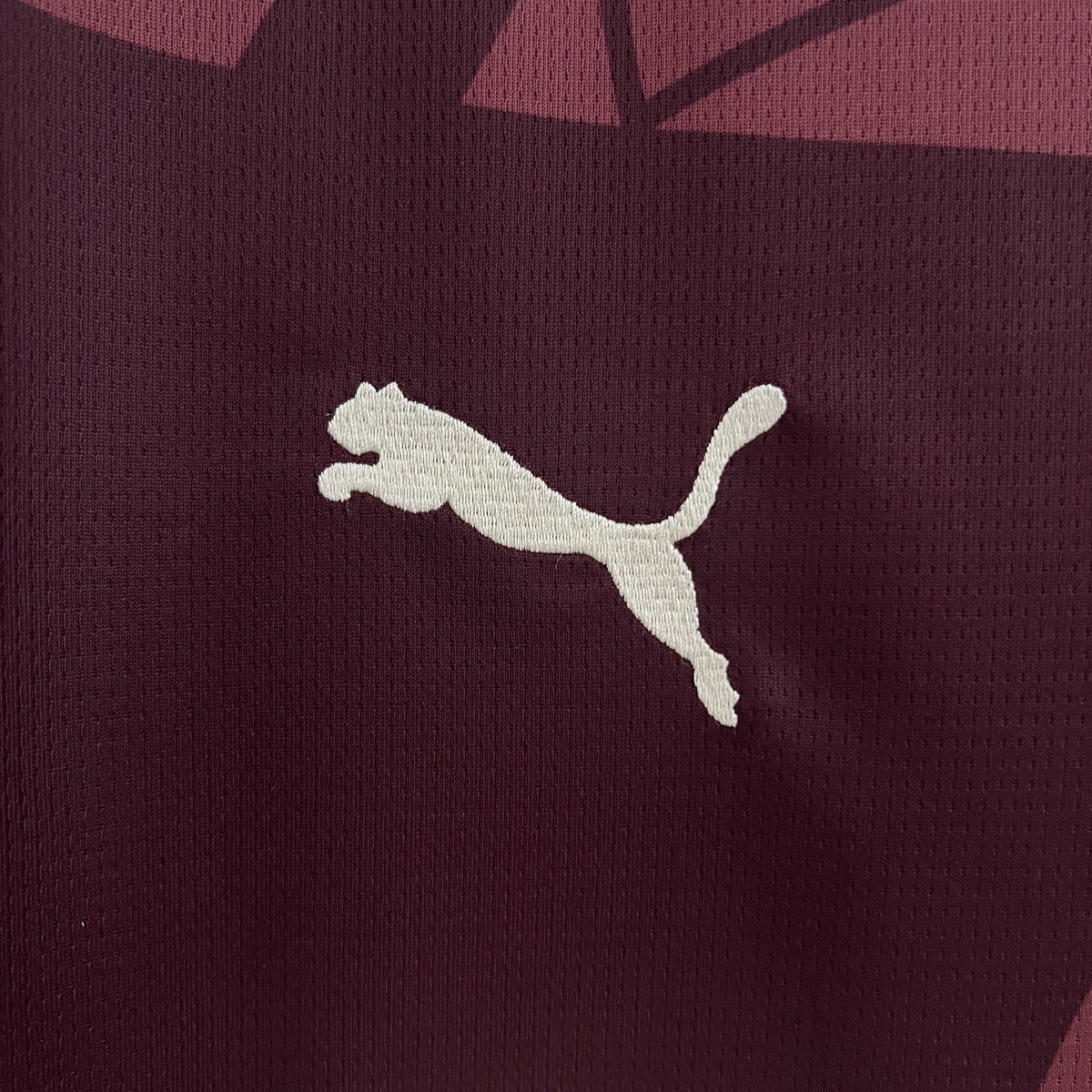 Camisola Manchester City Terceira 24/25