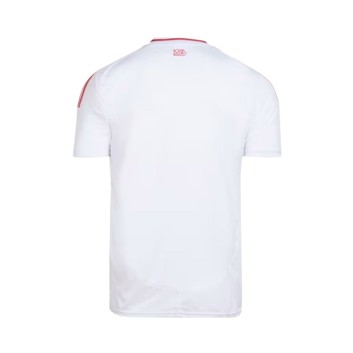 Camisola Internacional Secundária 25/26