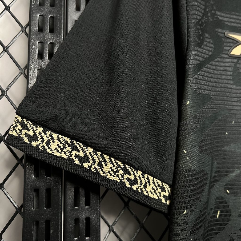 Camisola Botafogo Alternativa 24/25