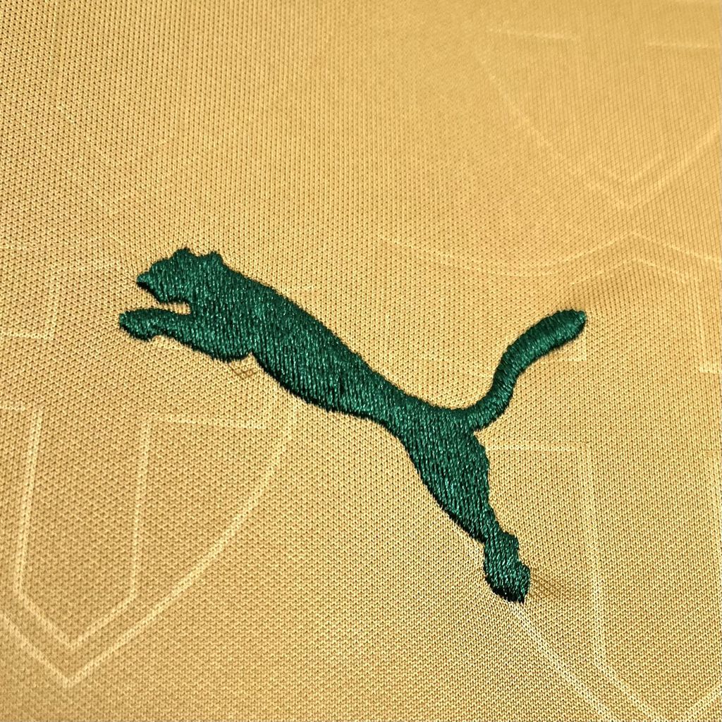 Camisola Palmeiras Terceira 24/25