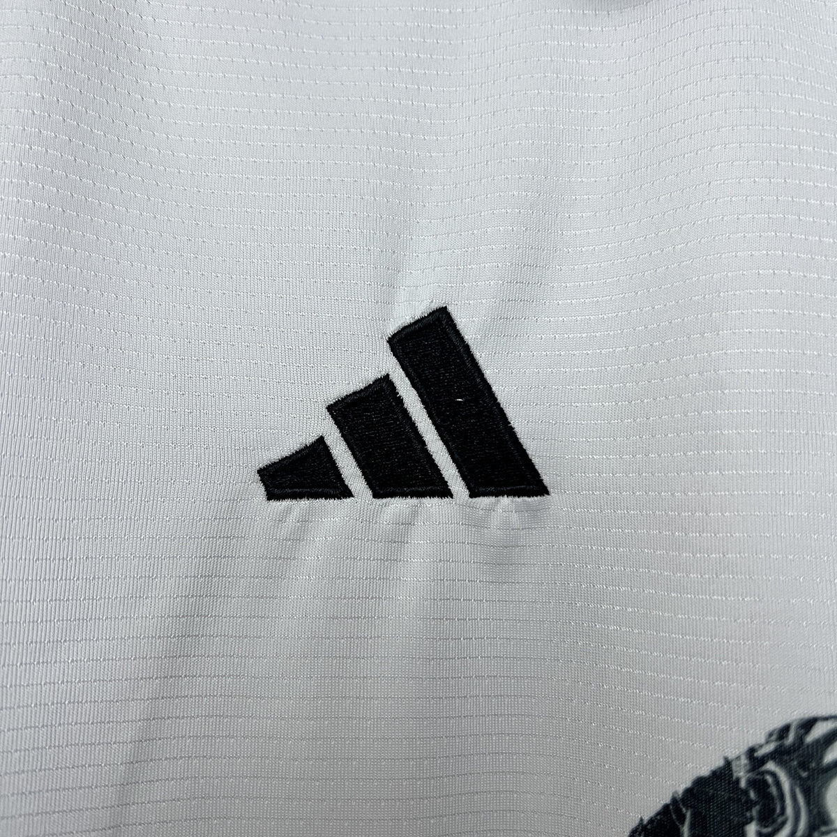 Camisola Japão Edição Especial 24/25 (Modelo 22)