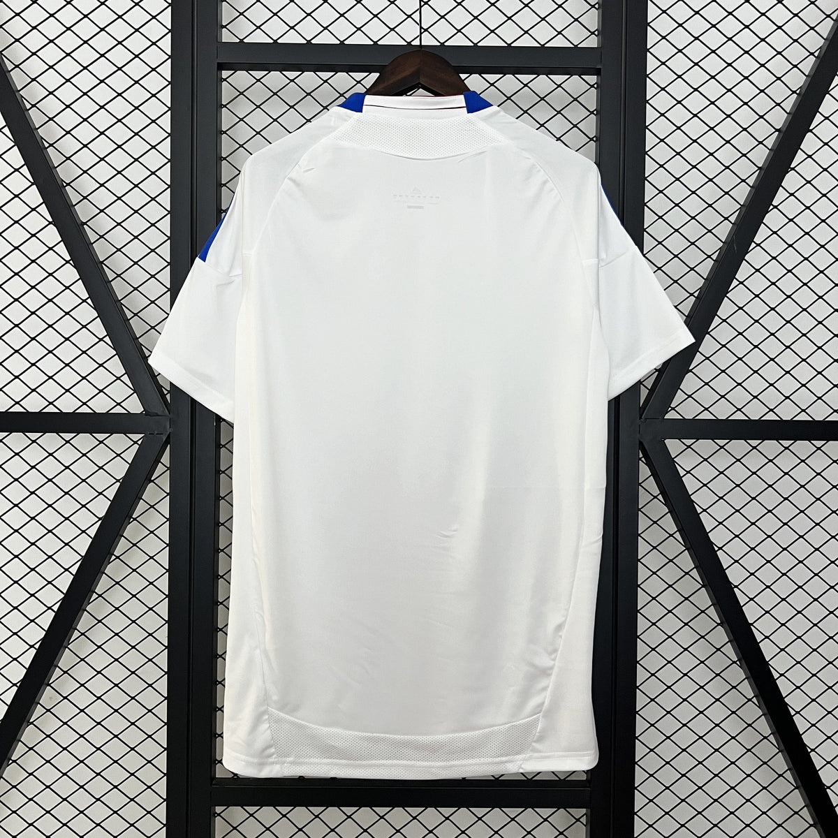 Camisola Olympique Lyonnais Principal 10/11 Retro