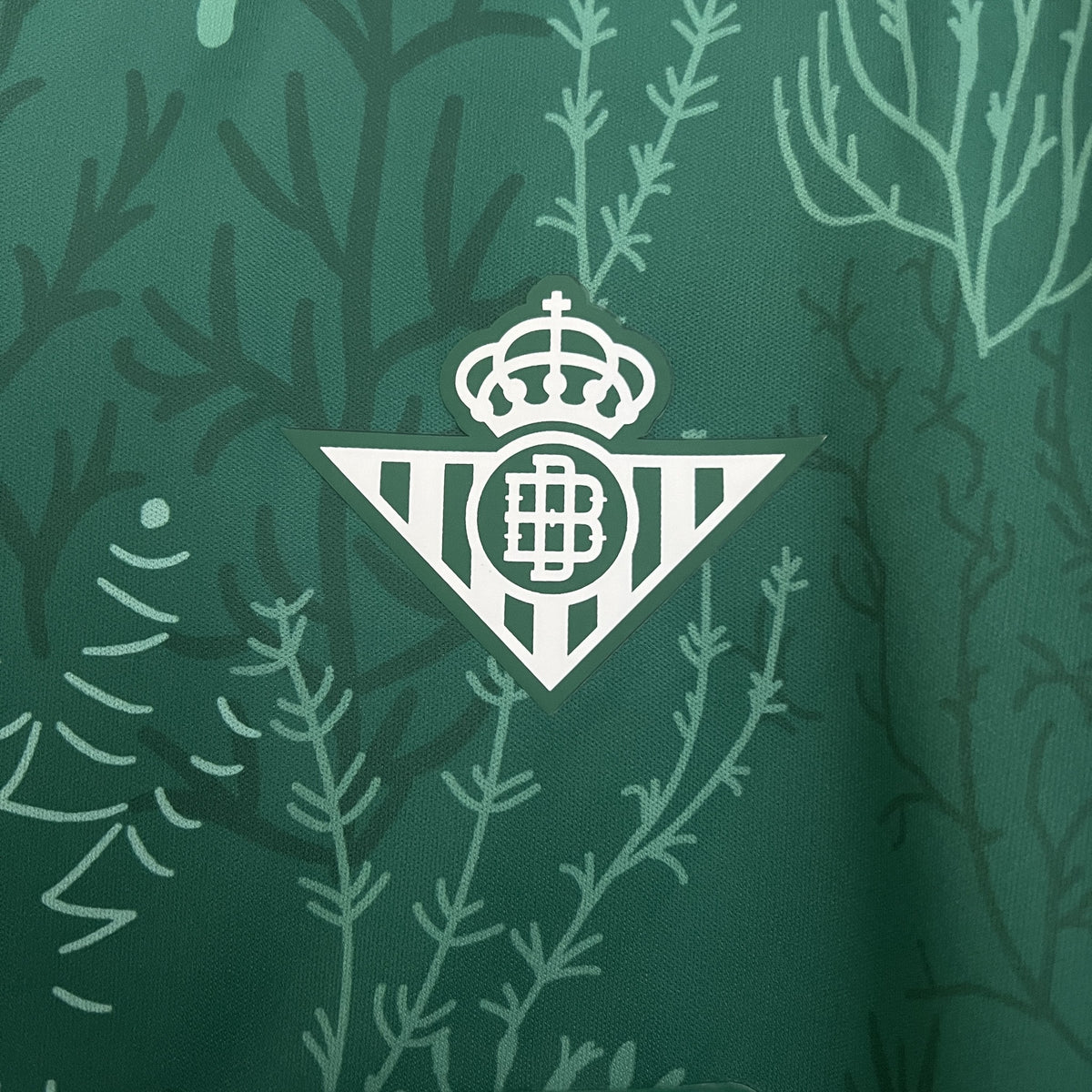 Camisola Real Betis Edição Especial 25/26