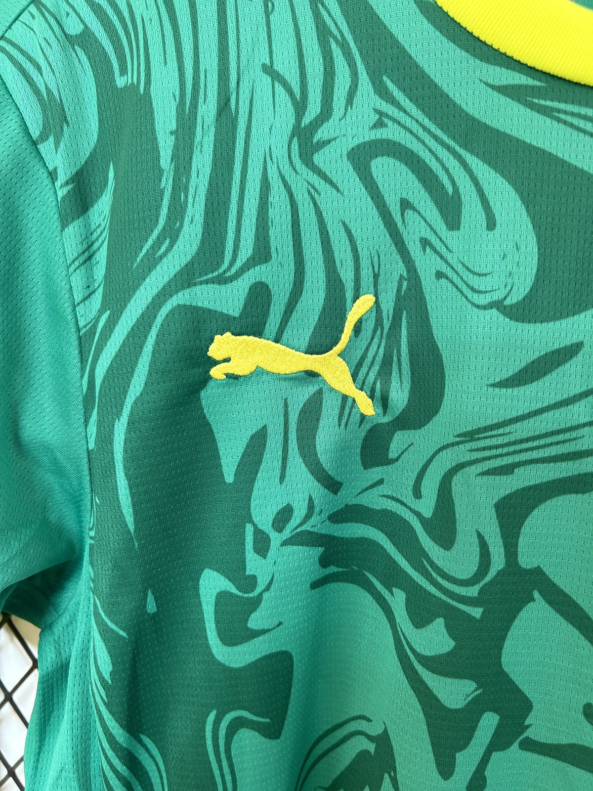 Camisola Senegal Alternativa 25/26