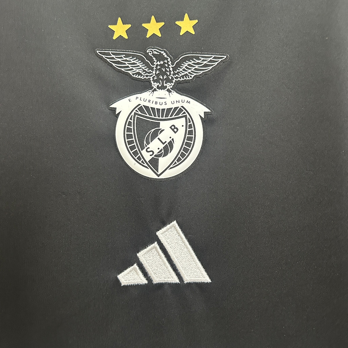 Camisola Benfica Edição Especial 25/26 (Modelo 3)