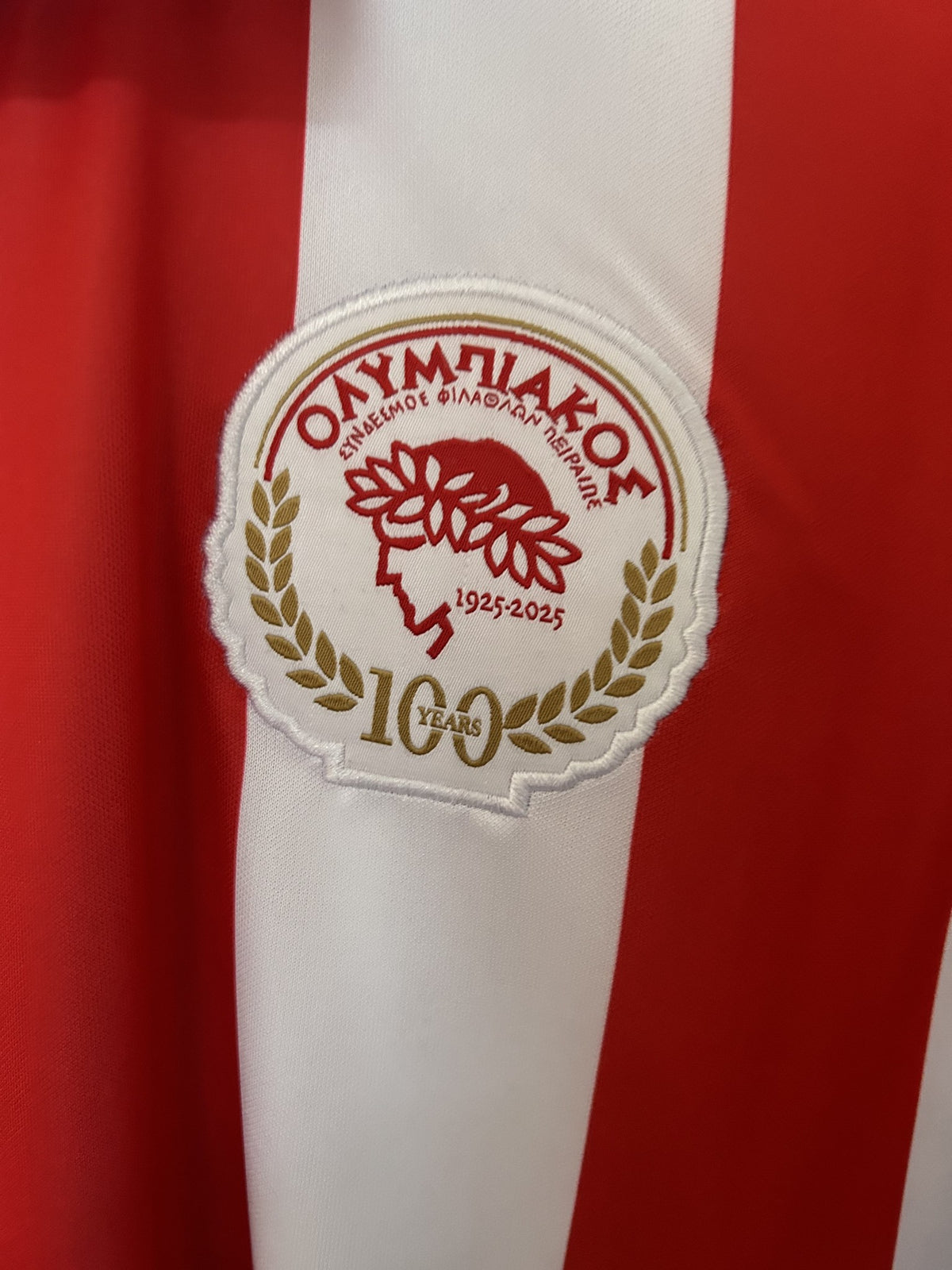 Camisola Olympiacos Edição Especial 100 Anos 25/26