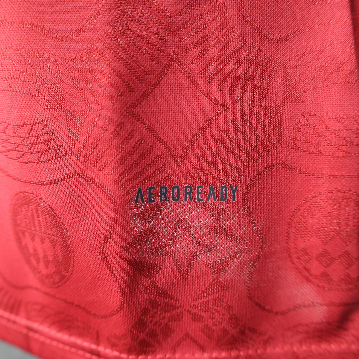 Camisola Bayern Munique Edição Especial 125 Anos Vermelha 25/26 - Manga Comprida - Versão Jogador