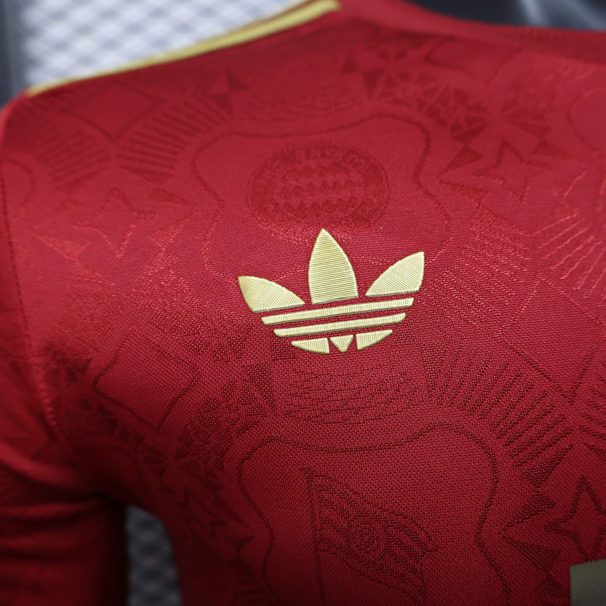 Camisola Bayern Munique Edição Especial 125 Anos Vermelha 25/26 - Manga Comprida - Versão Jogador