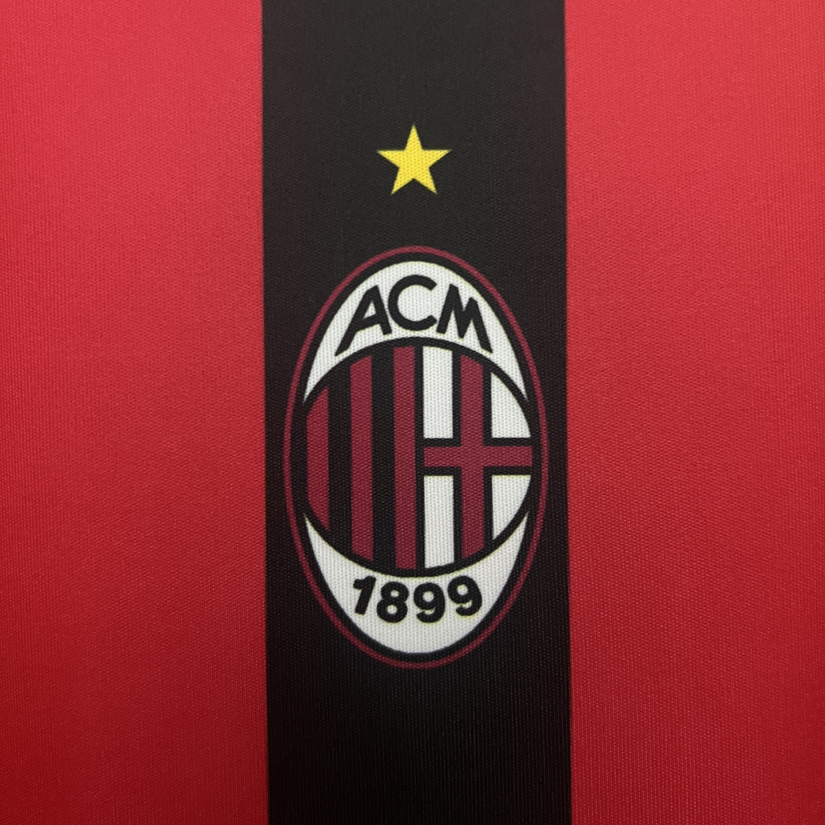 Camisola Ibrahimovic Edição Especial 25/26