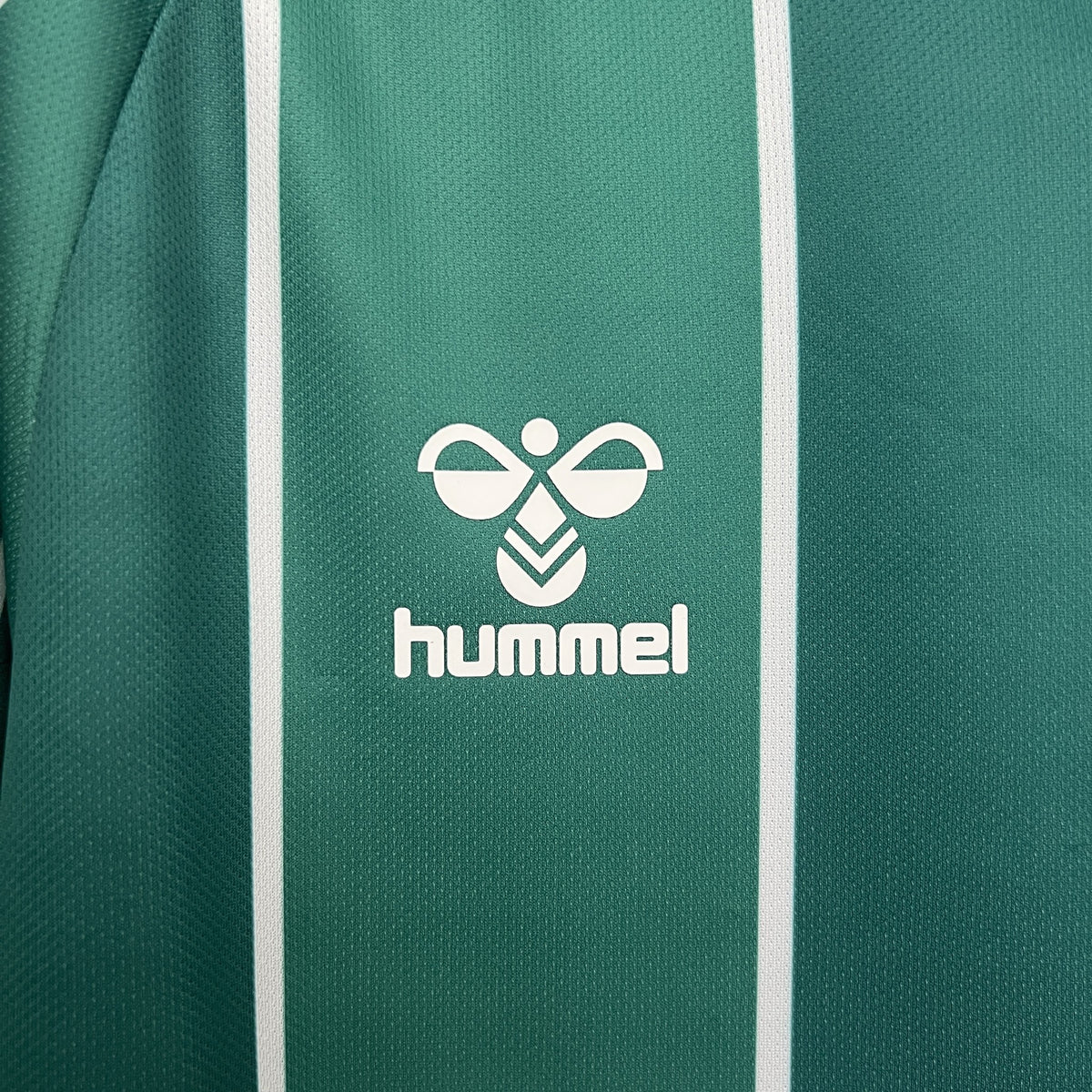 Camisola Werder Bremen Principal 25/26