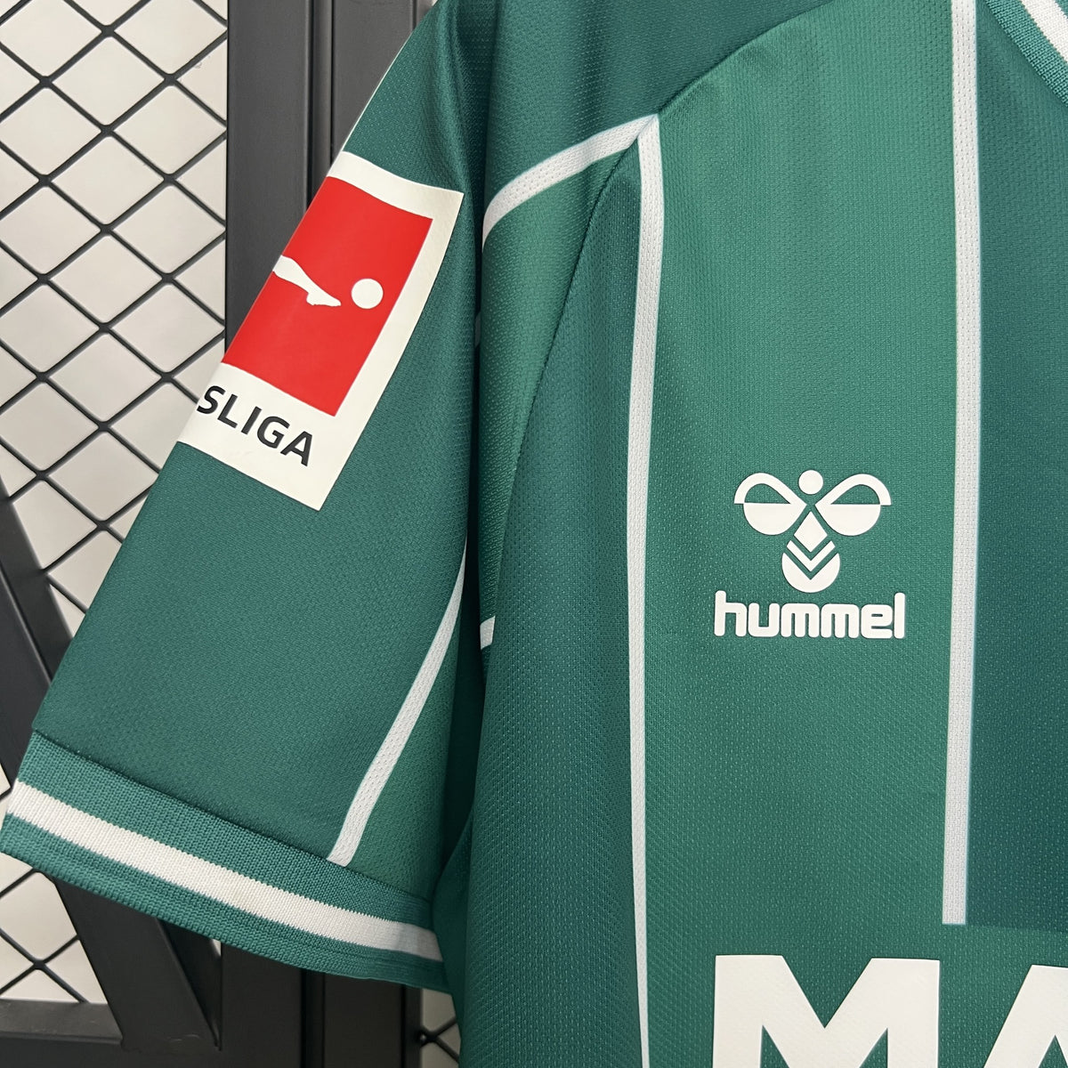 Camisola Werder Bremen Principal 25/26