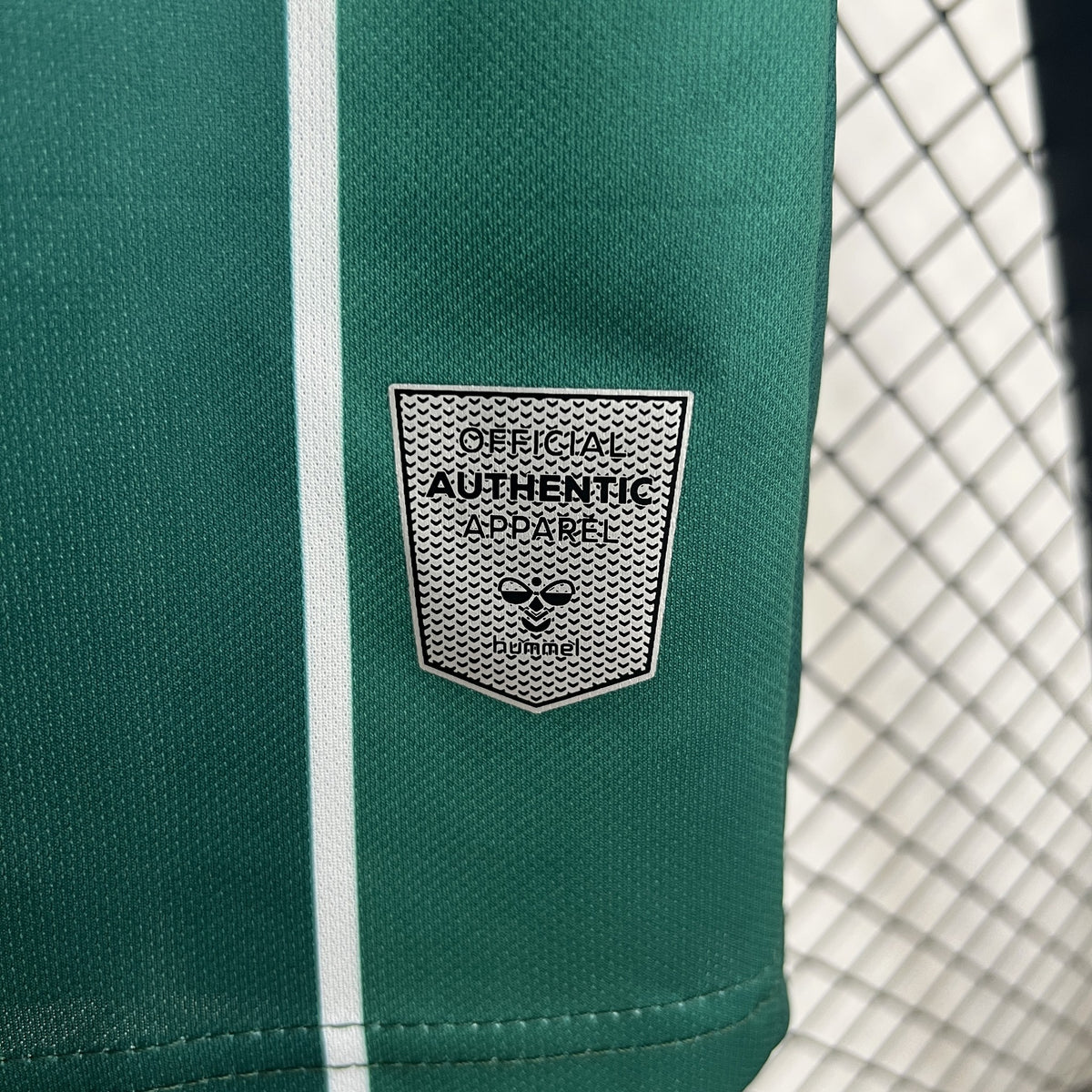 Camisola Werder Bremen Principal 25/26